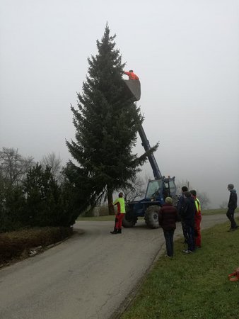 Christbaum aufstellen